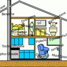 How to Avoid Sick-House Syndrome